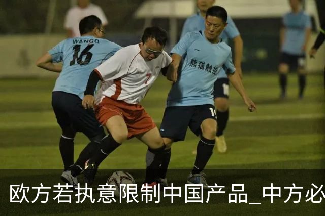 欧方若执意限制中国产品 中方必将采取必要措施